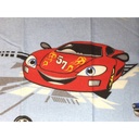 Nepromočiva podloga - 50x60 cm - DJ0193-100