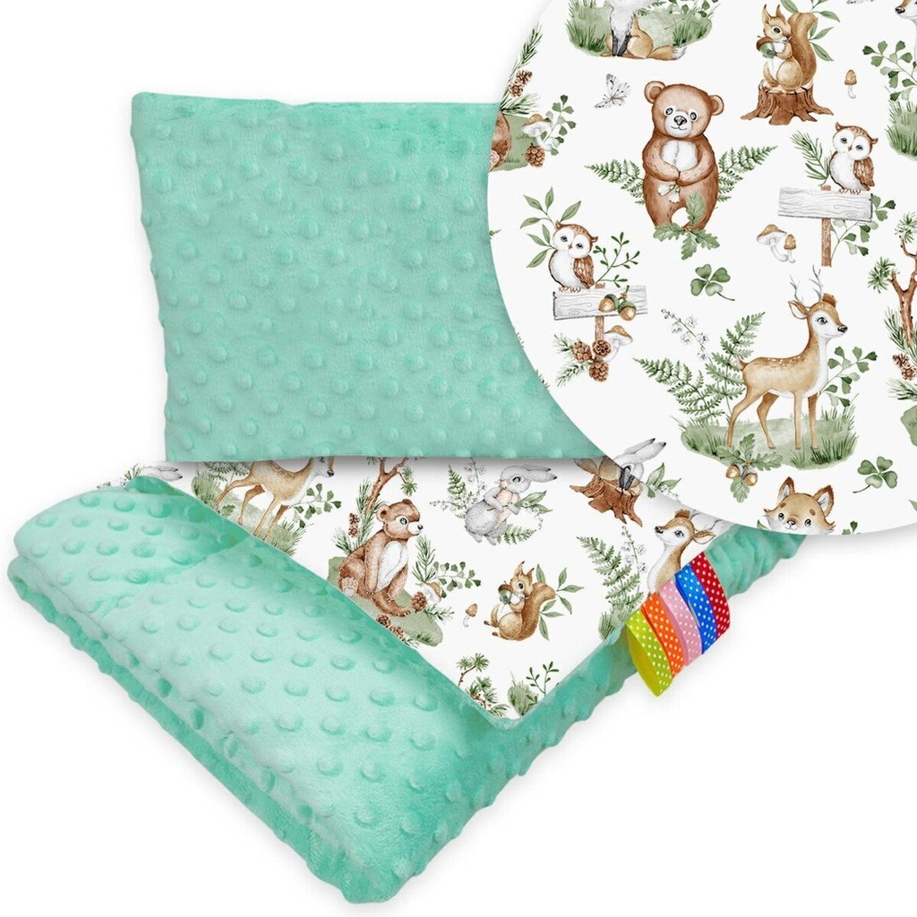 Posteljina za kolica - 2-djelna - Minky