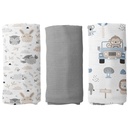 Tetra pelene - set - D0371-5