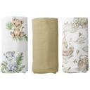 Tetra pelene - set - D0371-7