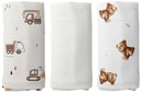 Tetra pelene - set - D0371-15